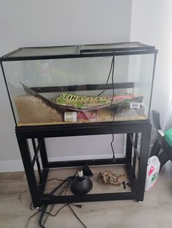 Iizard tank and stand