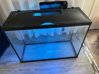 30 gallons fish tank