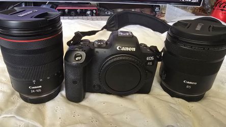 Canon eos r6, lens RF 24 105 mm f4 L IS USM, RF  85 mm F2 Macro is stm