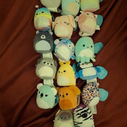 Mini Squishmallows 