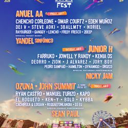 Baja Beach Festival VIP Pass