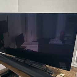 LG OLED 55 Inch Tv