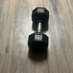 One 25lb Dumbell