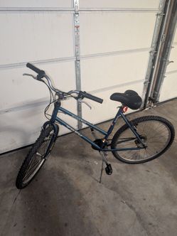 Mountain Bike (24 in)