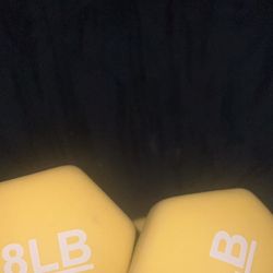 Dumbbells- 8Lbs Each