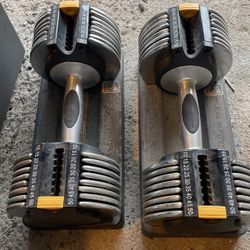 Golds Gym 50lbs Adjustable Weights Great Condition 