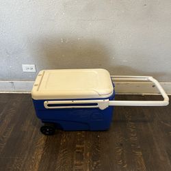 Igloo 38 QT Cooler 