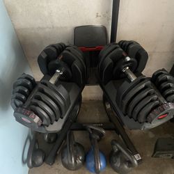 Bow Flex SelectTech 1090 dumbbells 10-90lbs With Stand