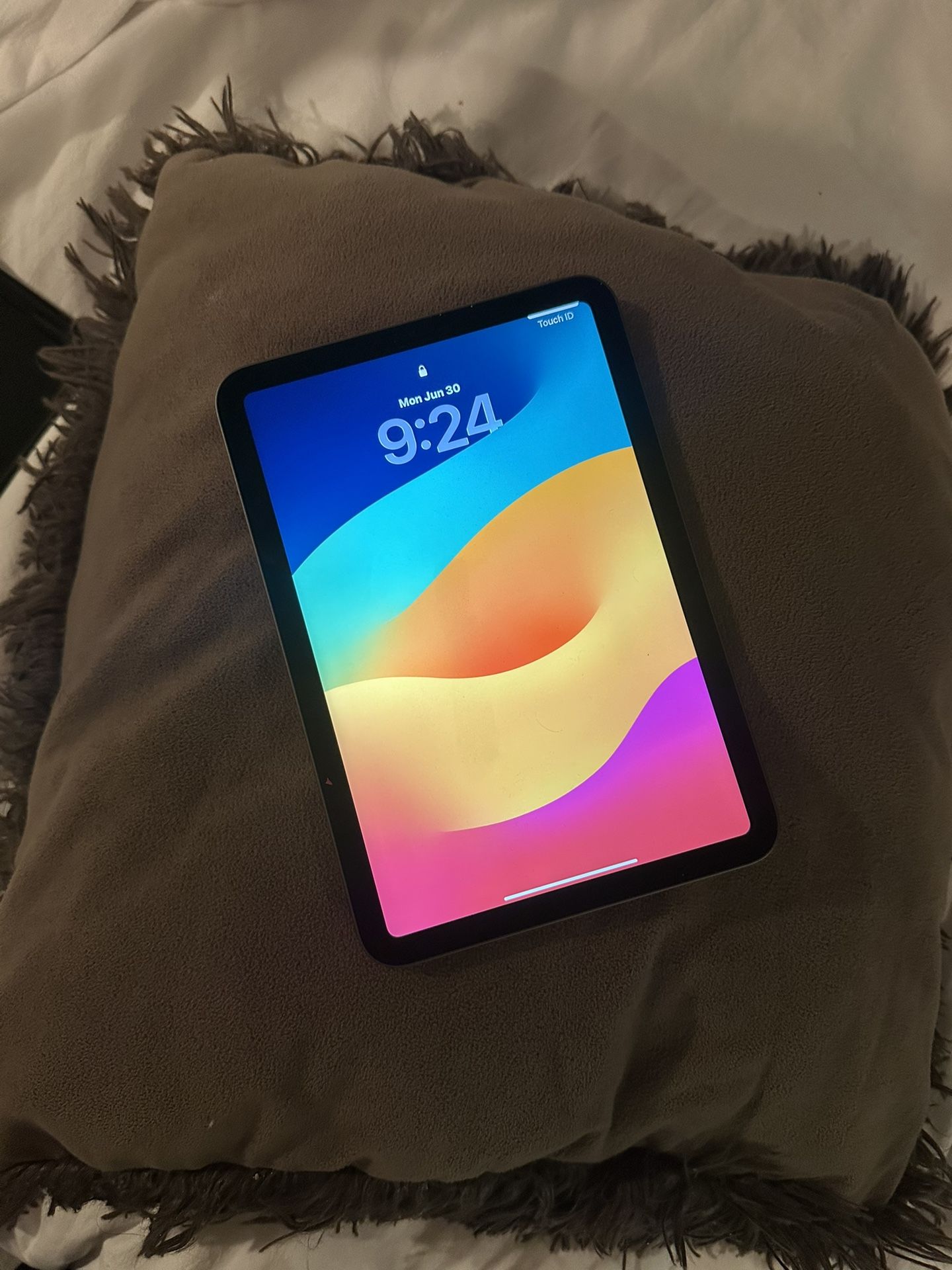iPad Mini 6th Generation 256gb WiFi Only 