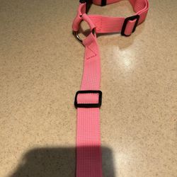 Car Harness For Dog