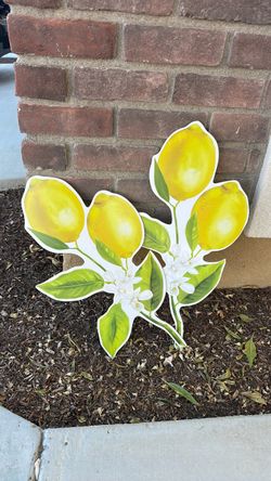 Lemon cutouts
