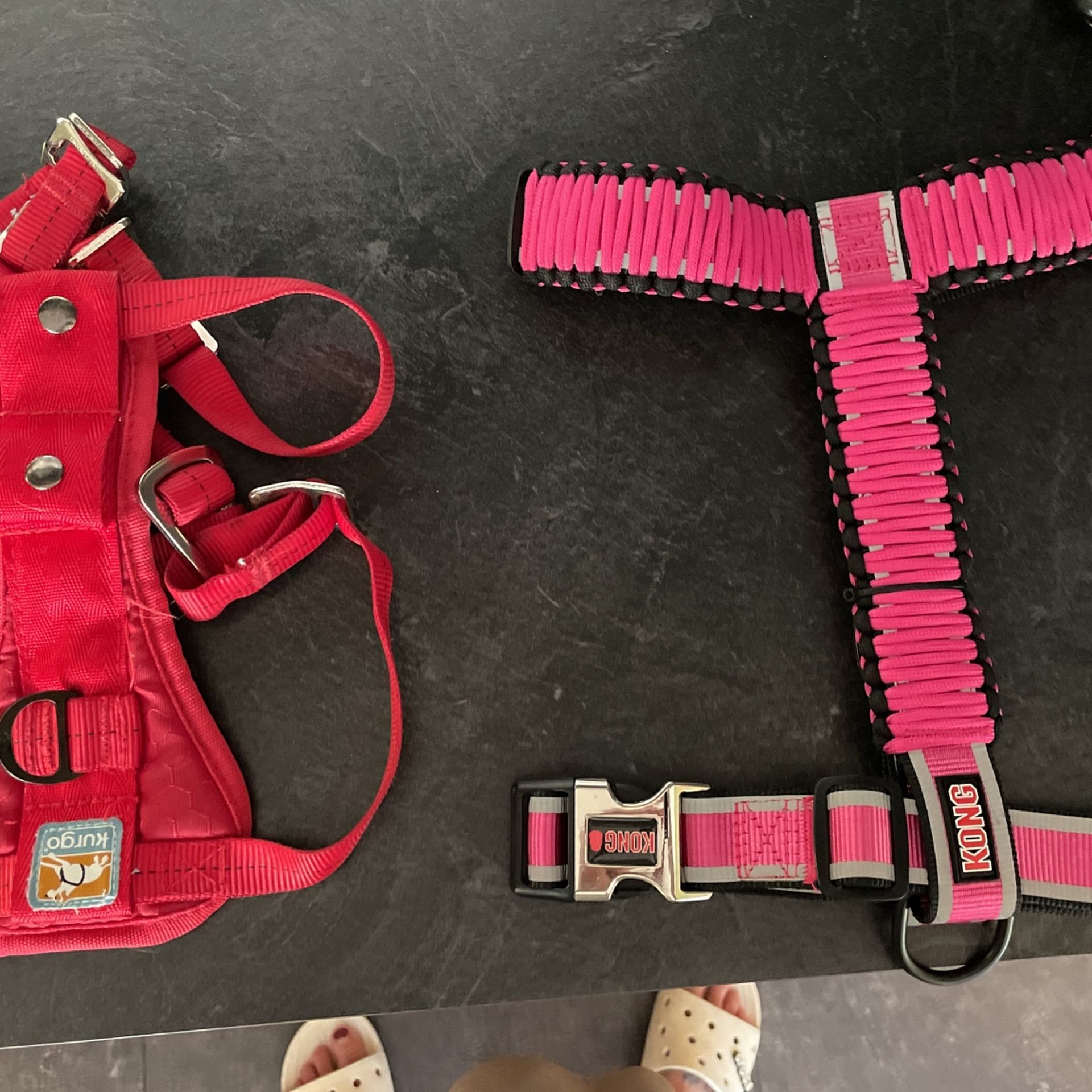 Harness For Pets