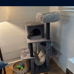 Cat Tree 