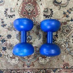 11 Lb (5 Kg) Dumbbells 