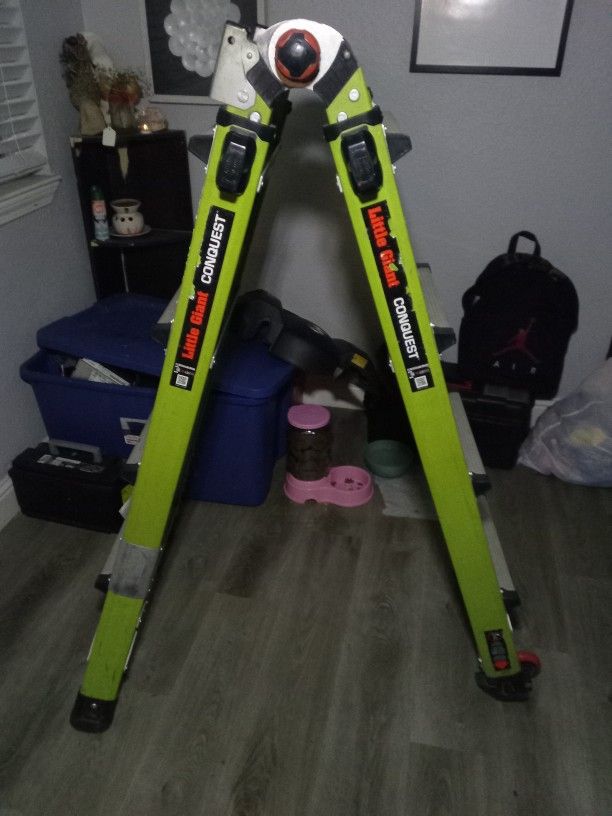 Little Giant Conquest Ladder