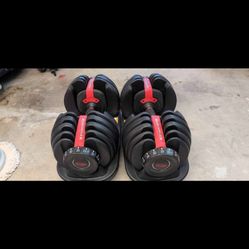 Bowflex Dumbbell Weights 