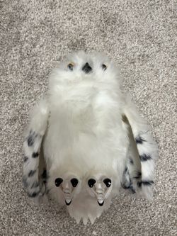 Harry Potter Owl & More!