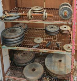 Olympic & regular weights, bench, bars, pull up  & dip tower
