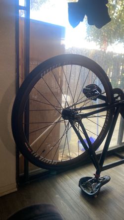 Back CONQUER Rim