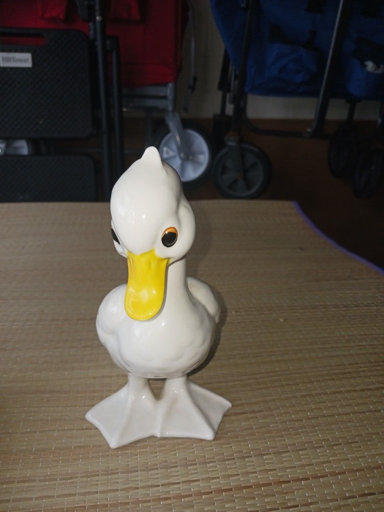 Collection Duck