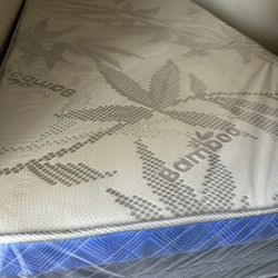 Full Size Plush Pillow Top