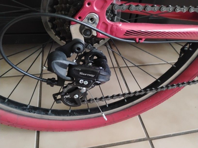 Schwinn 21 Speed Bike 