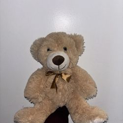 Cute Teddy Bear! 