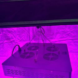 Grow Light 