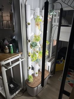 Gardyn New Version!!