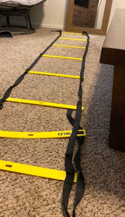 Agility / speed ladder trainer