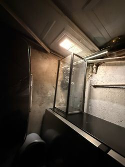 bearded Dragon Tank 20 Gal Tank