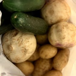 Free Produce and Instant Noodles
