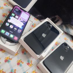 iPhone 13 cricket
