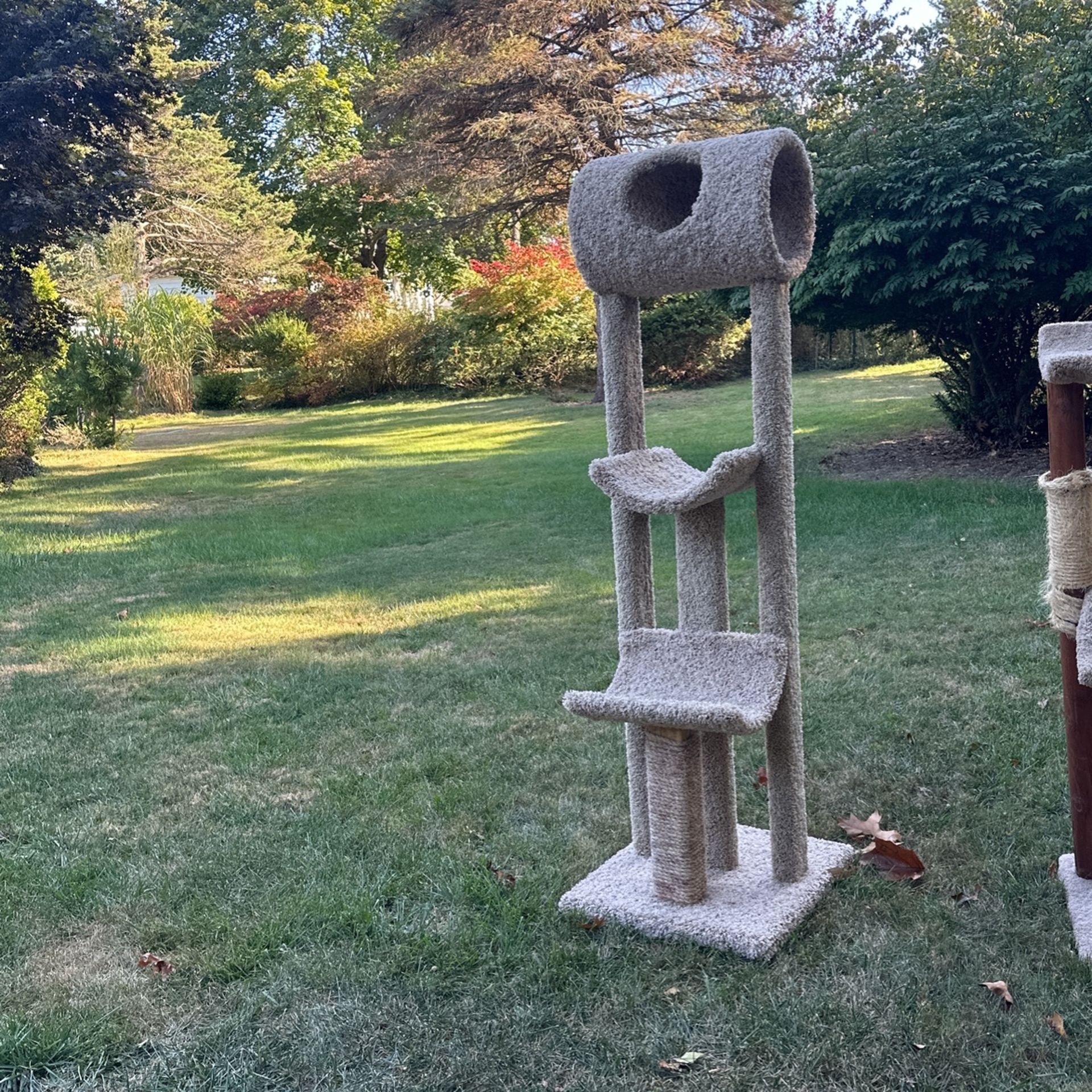 Cat Post Scratcher  Tower