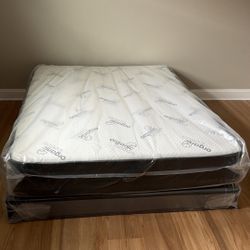 Queen Mattress Plus Free Box springs 