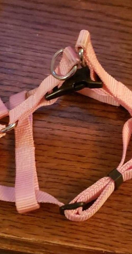 Bkueberry Step In Pet Harness