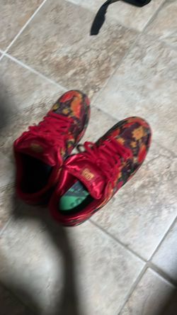 Wizad of oz sb dunks