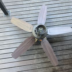 Free Ceiling Fan/Lamp