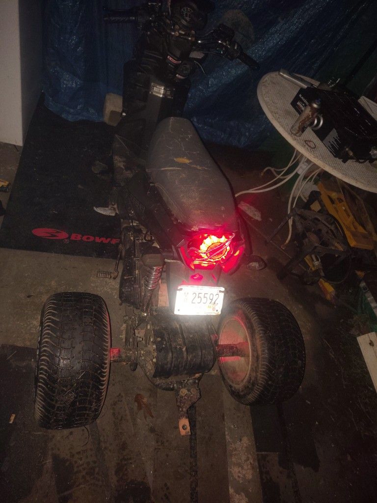 Have A Ice Bare Trick For Sale