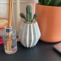 Cactus Plant Fake Plant Decor 