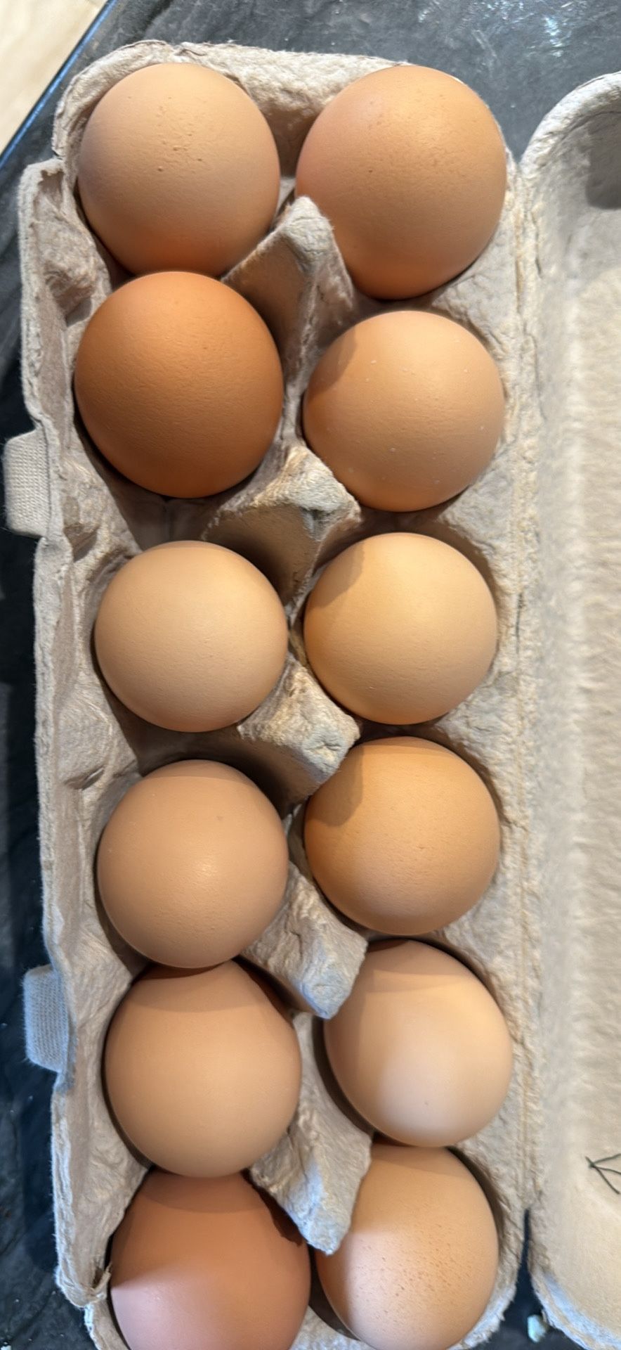 Eggs