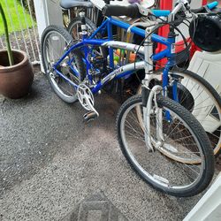 Diamondback 21 speed Mt Bike