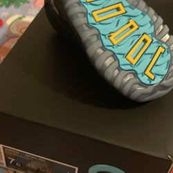 BRAND NEW JORDAN 11s 