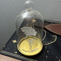 Official Disney Beauty and The Beast glass dome