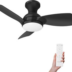 Consciot Ceiling Fan With Lights 30 Inch, Kids Ceiling Fan Black Modern, Flush Mount, Reversible Quiet DC Motor, 6 Speed, Dimmable, Kitchen Bedroom Pa