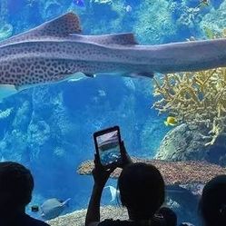 Aquarium  Of The Pacific