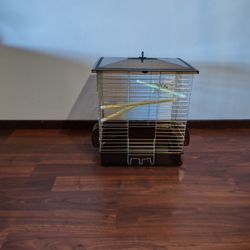 Bird Cage