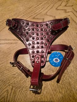 Medium Dog Harness