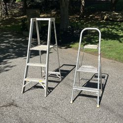 Platform Ladder for Painting:  2-Step & 3-Step Ladders