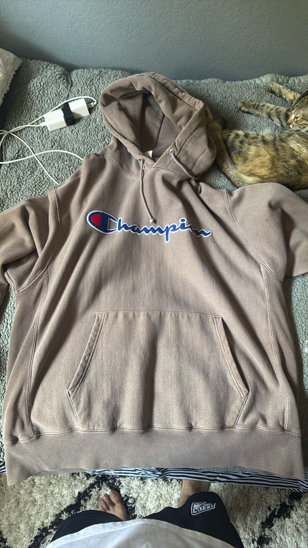 Champion Hoodie 